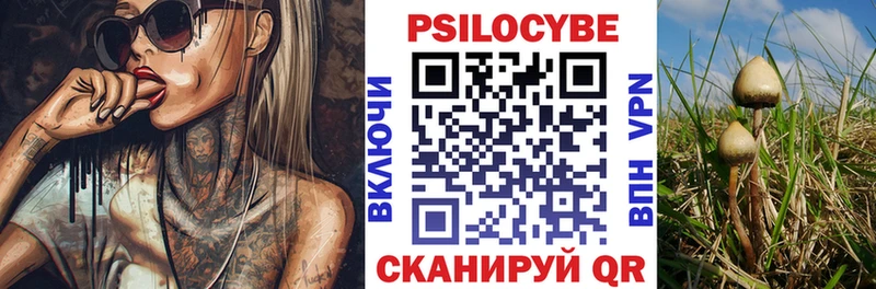 Псилоцибиновые грибы MAGIC MUSHROOMS  Купить  Горнозаводск 